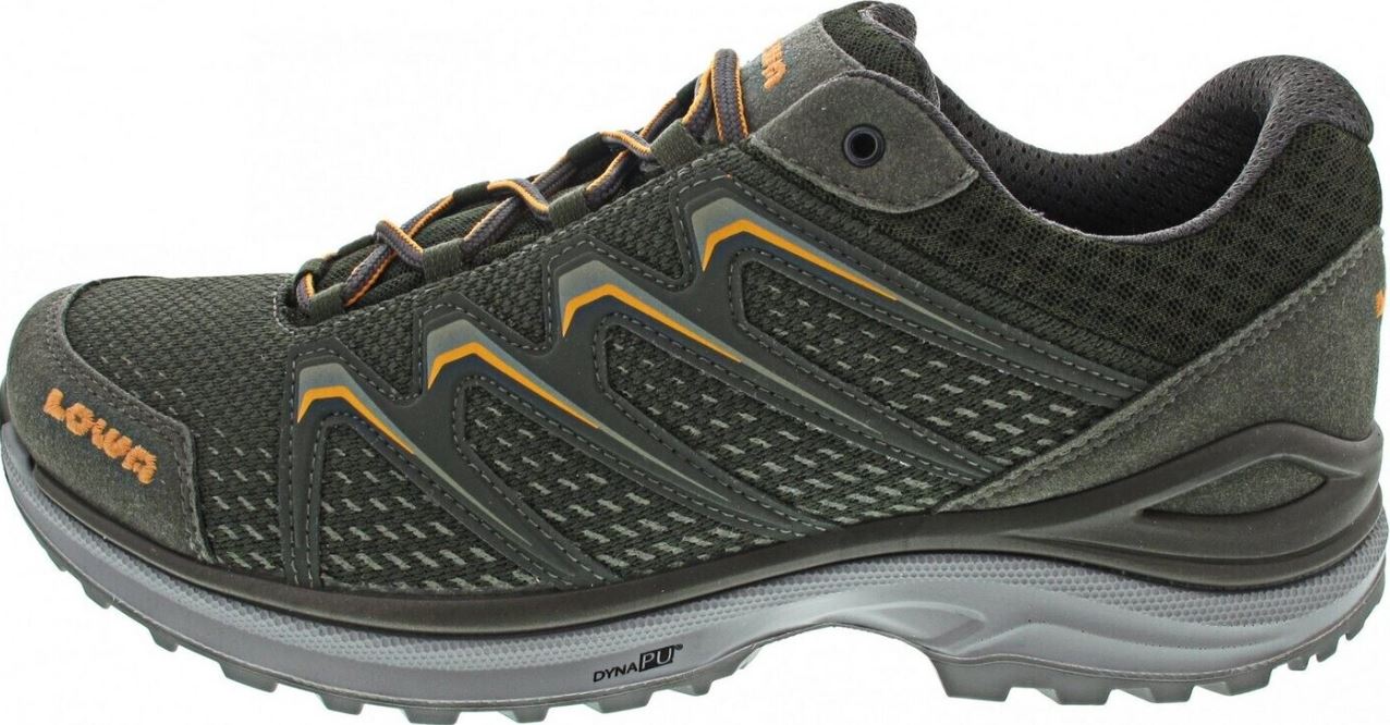 Lowa Maddox GTX Lo men's hiking shoe