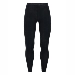 Icebreaker 175 Everyday Leggings heren