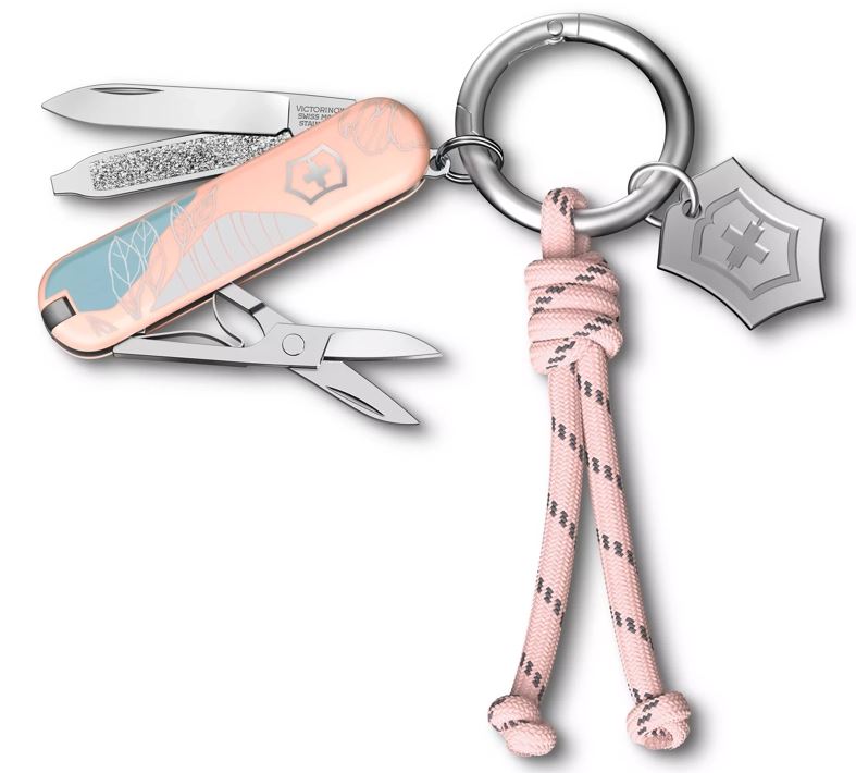 65. Victorinox Classic SD en Key Ring, Paris Style, zakmes