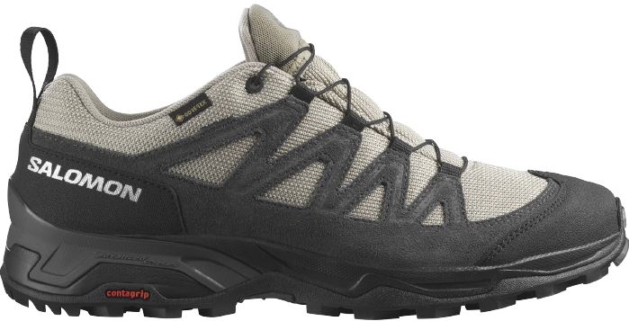 Salomon X Ward Leather GTX men's hiking shoe