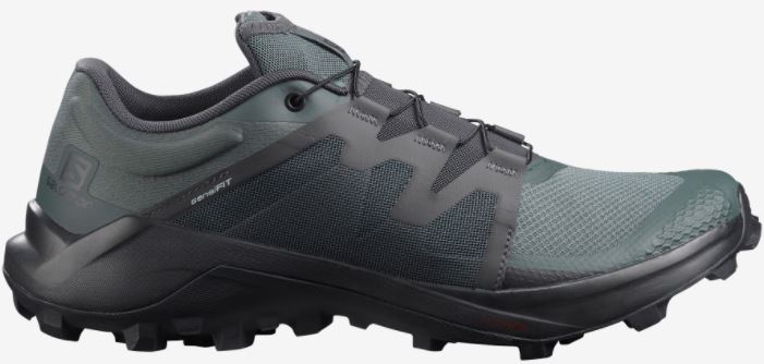 Salomon Wildcross men's shoe