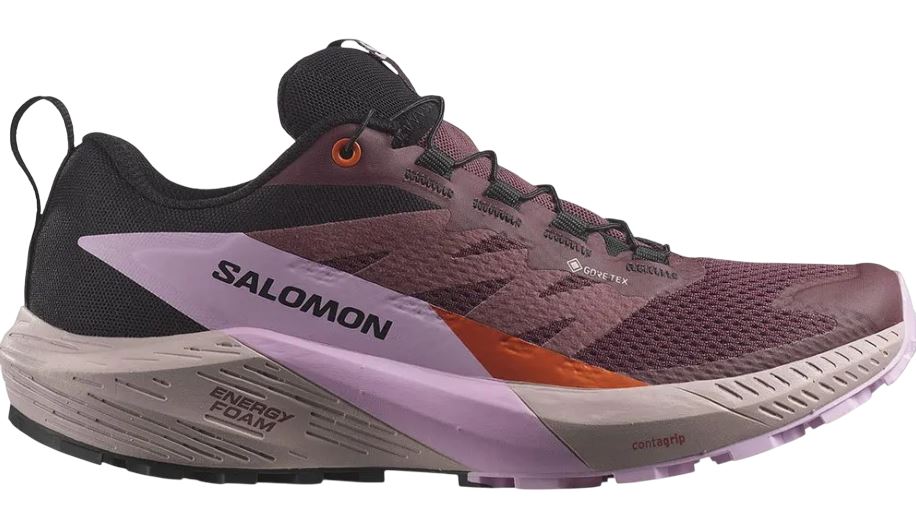 Salomon Sense Ride 5 GTX women's hiking shoe