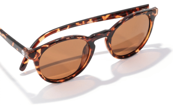 095876E8-D623-4036-9230-E3295F351A00