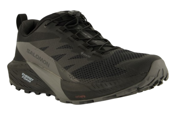 Salomon Sense Ride 5 GTX men's hiking shoe