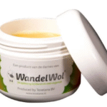 15E2E7F4-DE58-4844-988E-E69777D561E3