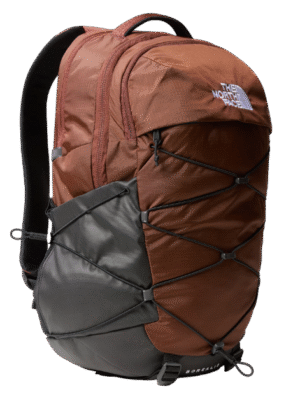 Dark oak/TNF Black