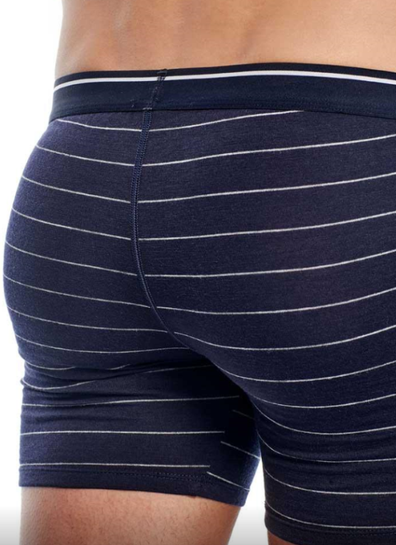 Icebreaker 150 Anatomica men's boxer - Image 8