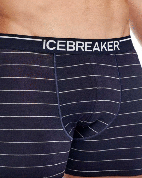 Icebreaker 150 Anatomica men's boxer - Image 7