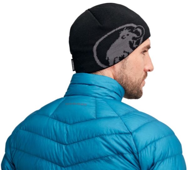 Mammut Fleece Beanie hat - Image 5
