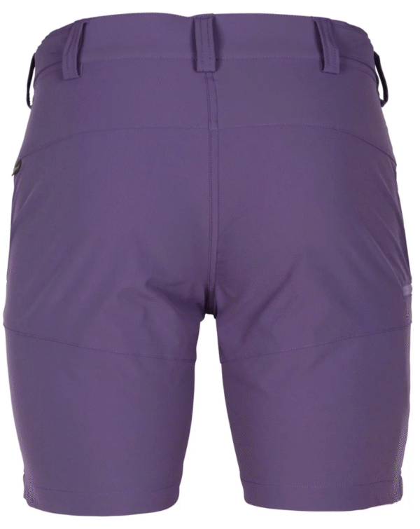 Pinewood Abisko Light Stretch Shorts W women's shorts - Image 4