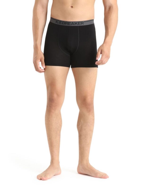 Icebreaker 150 Anatomica men's boxer - Image 12
