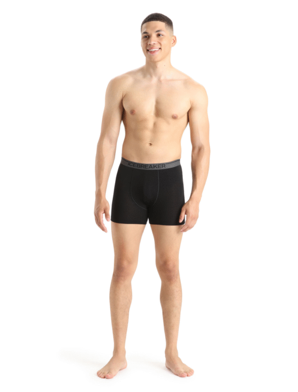 Icebreaker 150 Anatomica men's boxer - Image 13