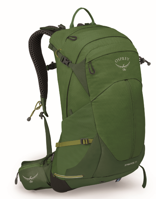 931EA5BE-DE1D-406D-B1A2-14762E607925