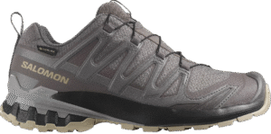 Salomon Xa Pro 3D V9 GTX women's hiking shoe