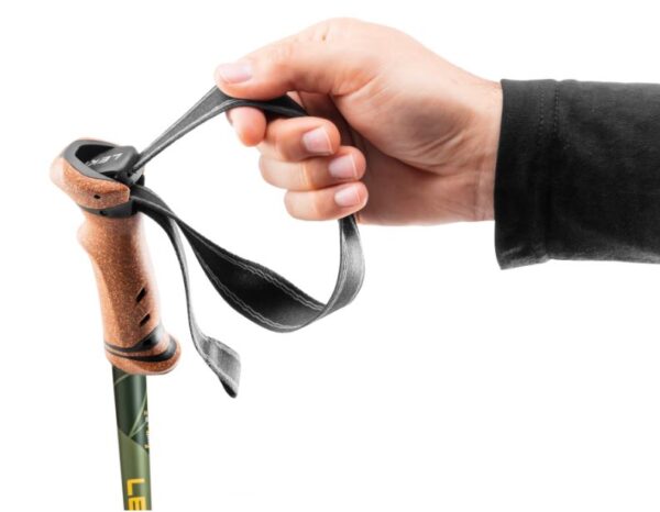 A2D9AA00-121F-4F90-B7A5-5D051A09B557