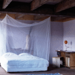 AAFEF69B-D629-4F5E-96EC-6DE8B4CB9EAC