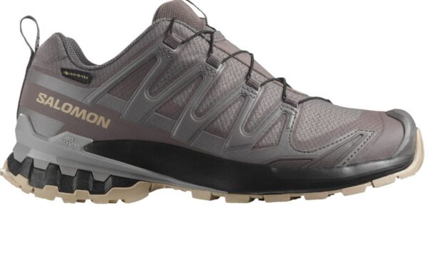 Salomon Xa Pro 3D V9 GTX women's hiking shoe - Image 3