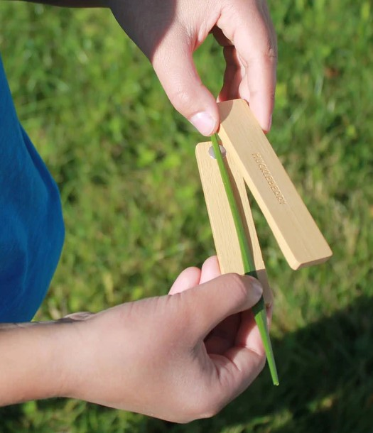 Kikkerland Grass Whistle - Image 5