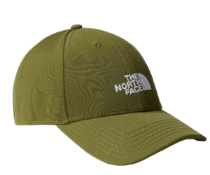 Forest Olive