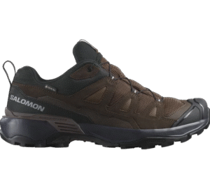 Salomon X Ultra 360 Ltr GTX men's hiking shoe