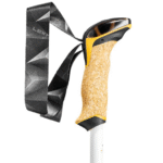 E0371900-7B8B-44A7-80BB-7473C3D0963D