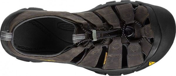 ED43F63A-E751-4970-B2EA-EABB97622037