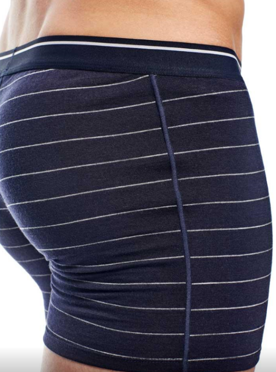 Icebreaker 150 Anatomica men's boxer - Image 9
