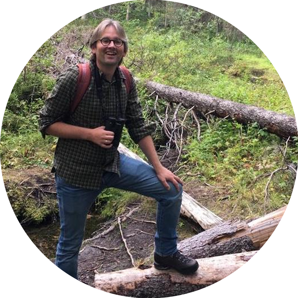 Hiking trekking poles