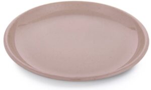 Barebones Enamel Plate - Dusty Rose