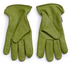 Barebones Classic Glove - Olive